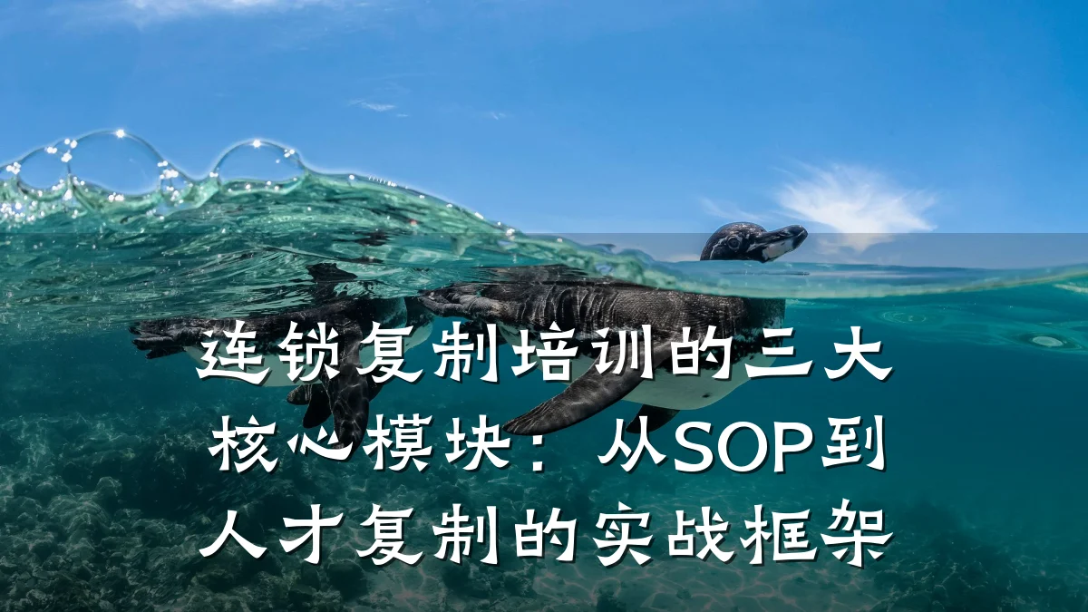 连锁复制培训的三大核心模块:从SOP到人才复制的实战框架