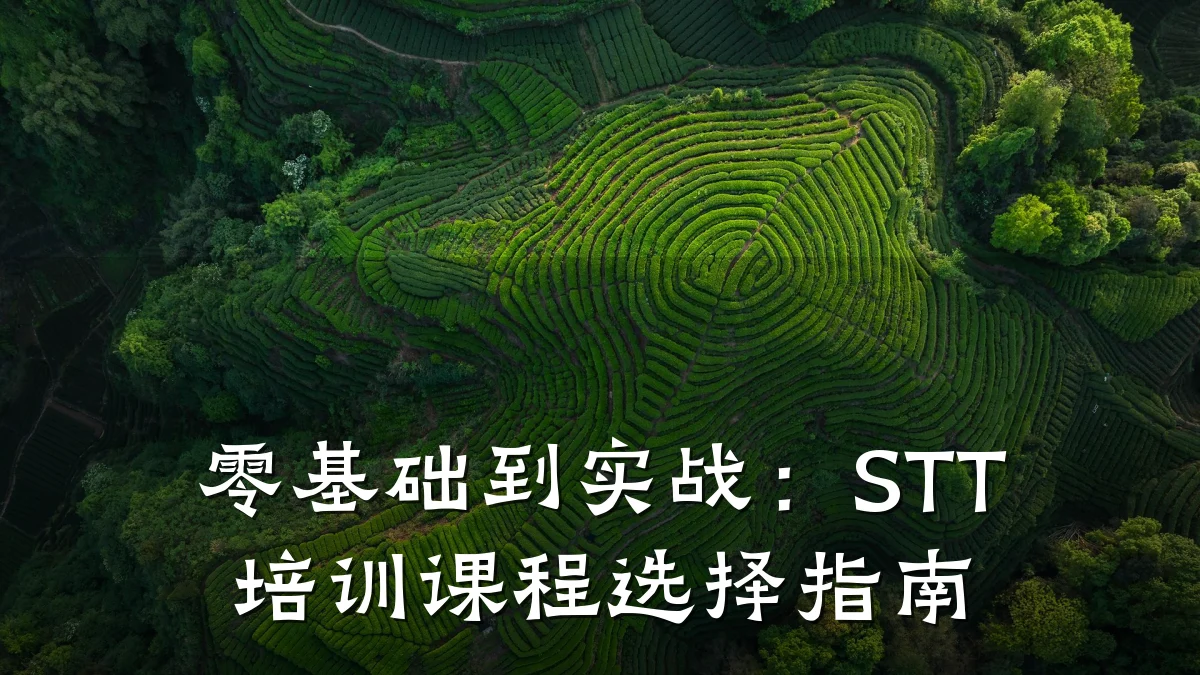 零基础到实战:STT培训课程选择指南