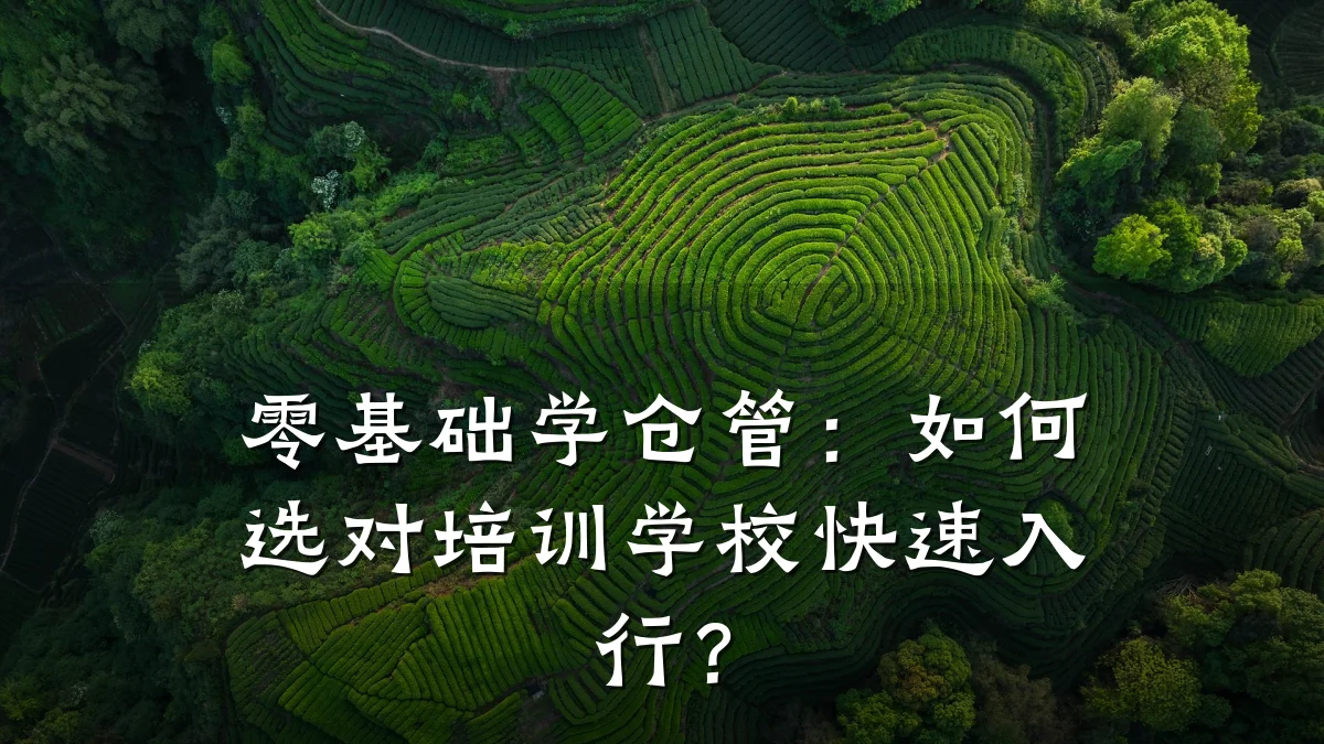 零基础学仓管:如何选对培训学校快速入行?