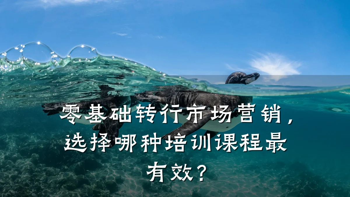 零基础转行市场营销,选择哪种培训课程最有效?