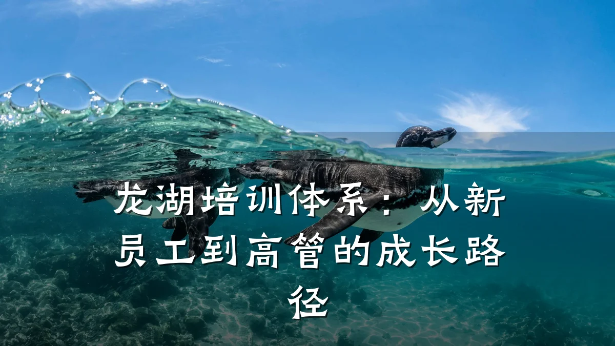 龙湖培训体系:从新员工到高管的成长路径