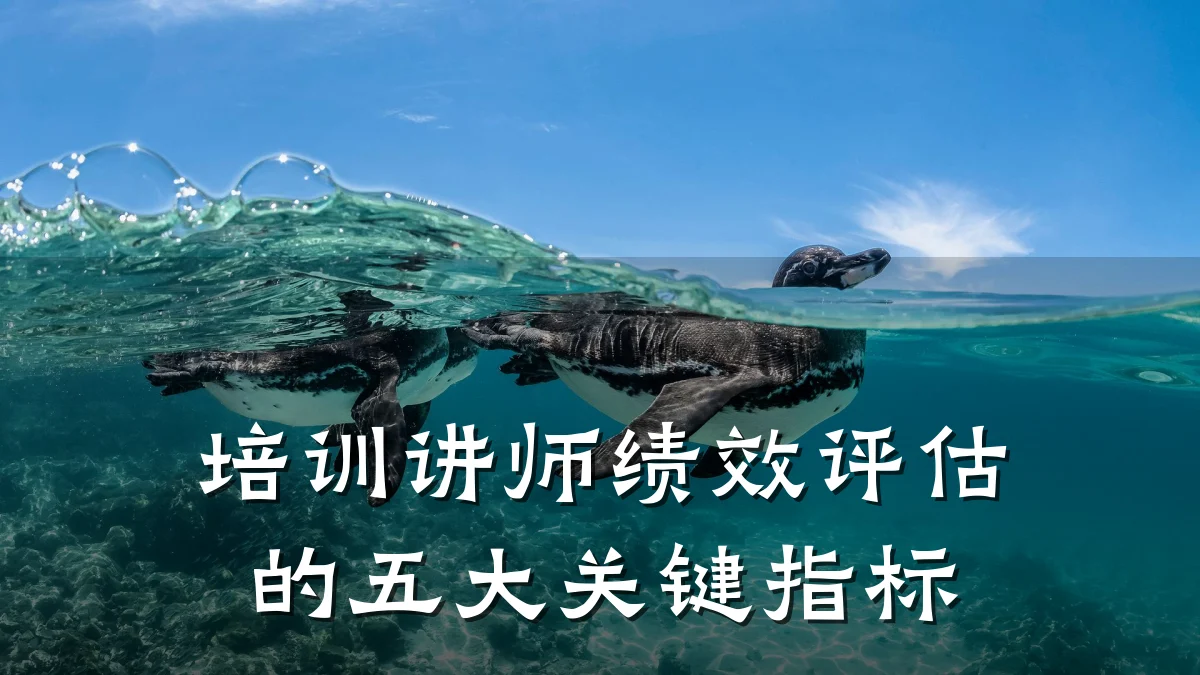 培训讲师绩效评估的五大关键指标