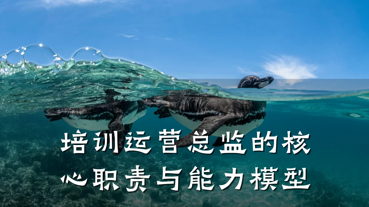 培训运营总监的核心职责与能力模型