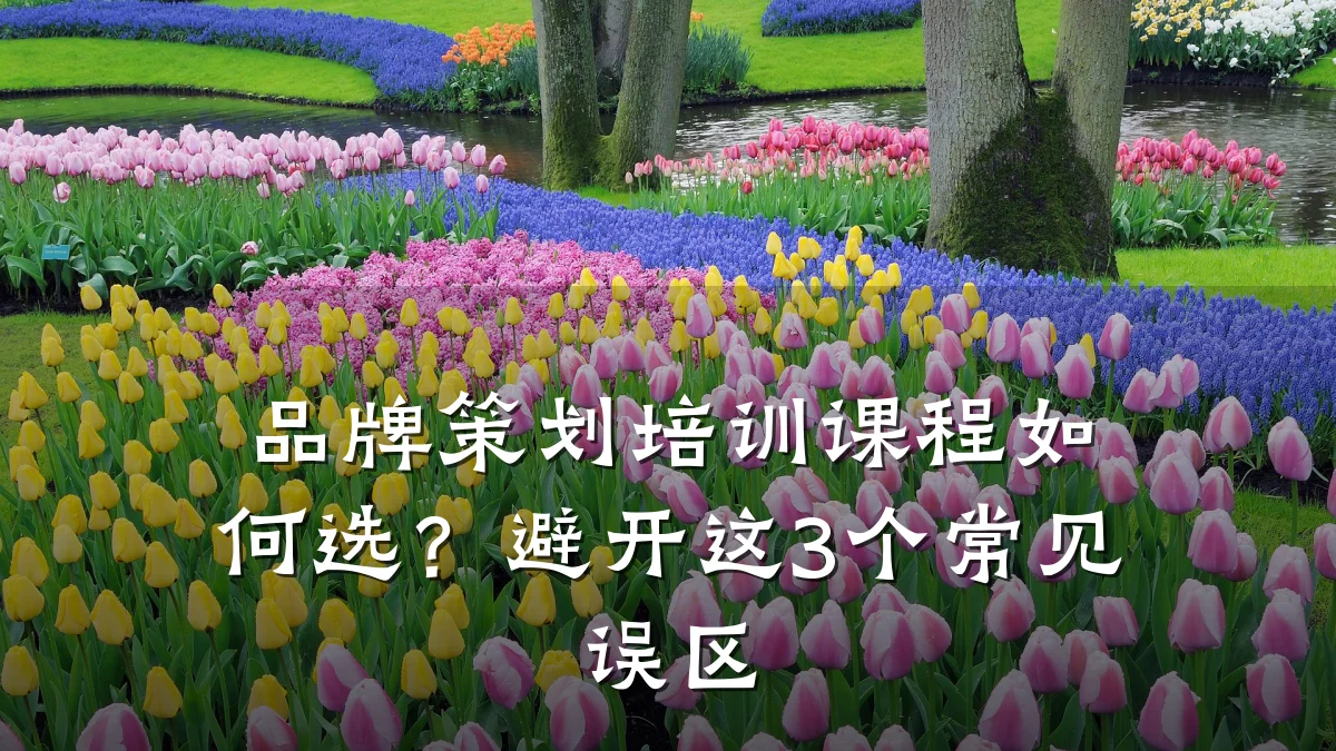 品牌策划培训课程如何选?避开这3个常见误区