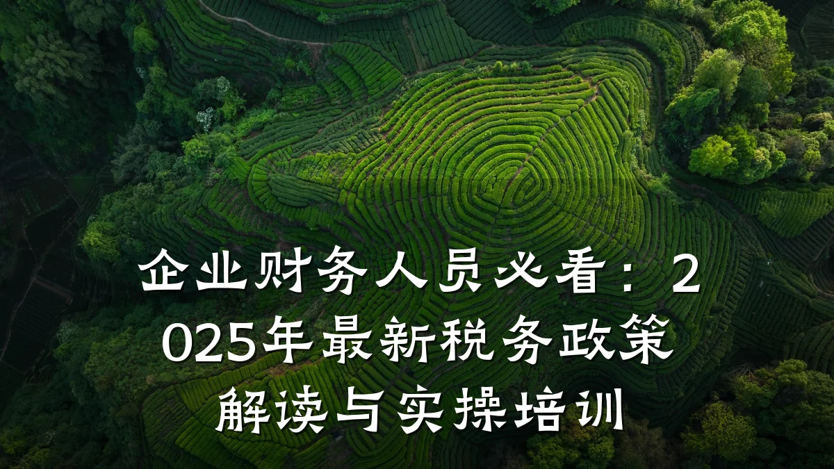 企业财务人员必看:2025年最新税务政策解读与实操培训