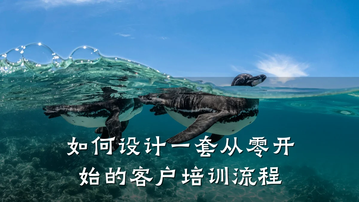 如何设计一套从零开始的客户培训流程
