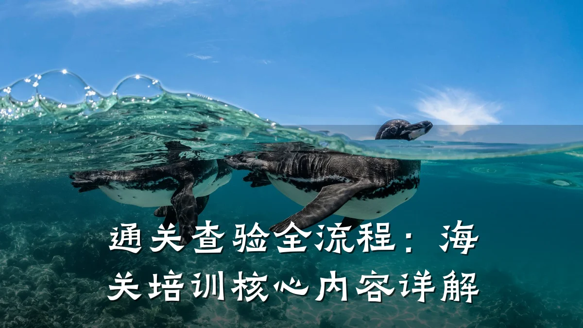 通关查验全流程:海关培训核心内容详解