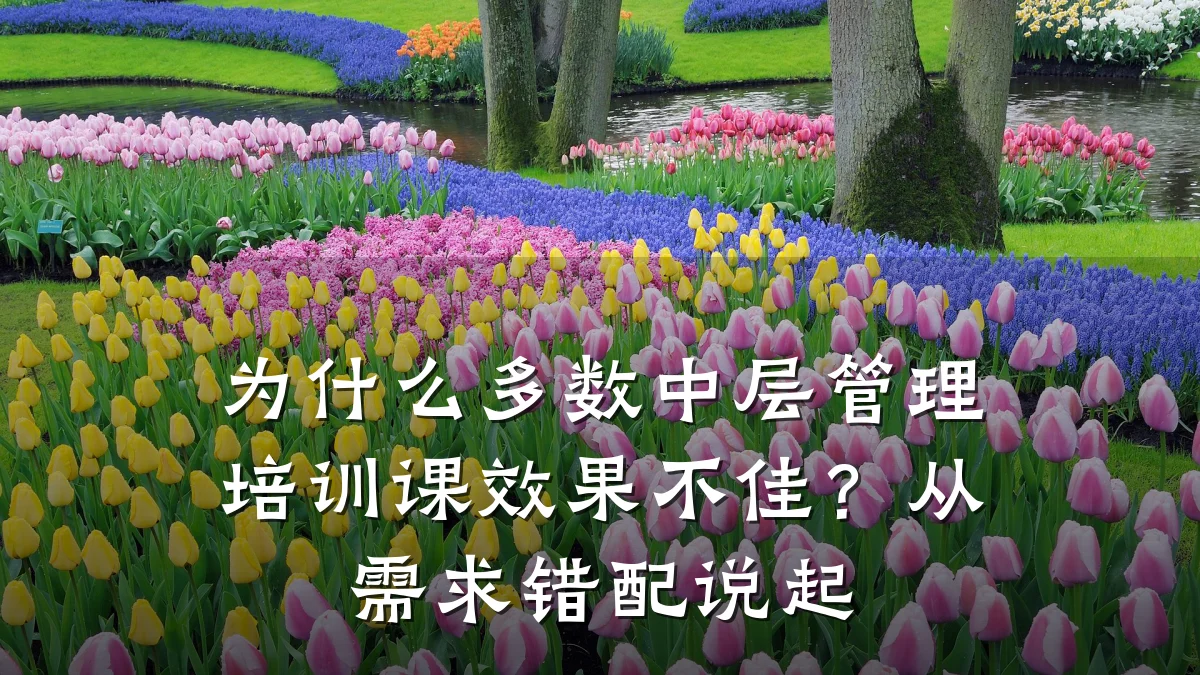 为什么多数中层管理培训课效果不佳？从需求错配说起