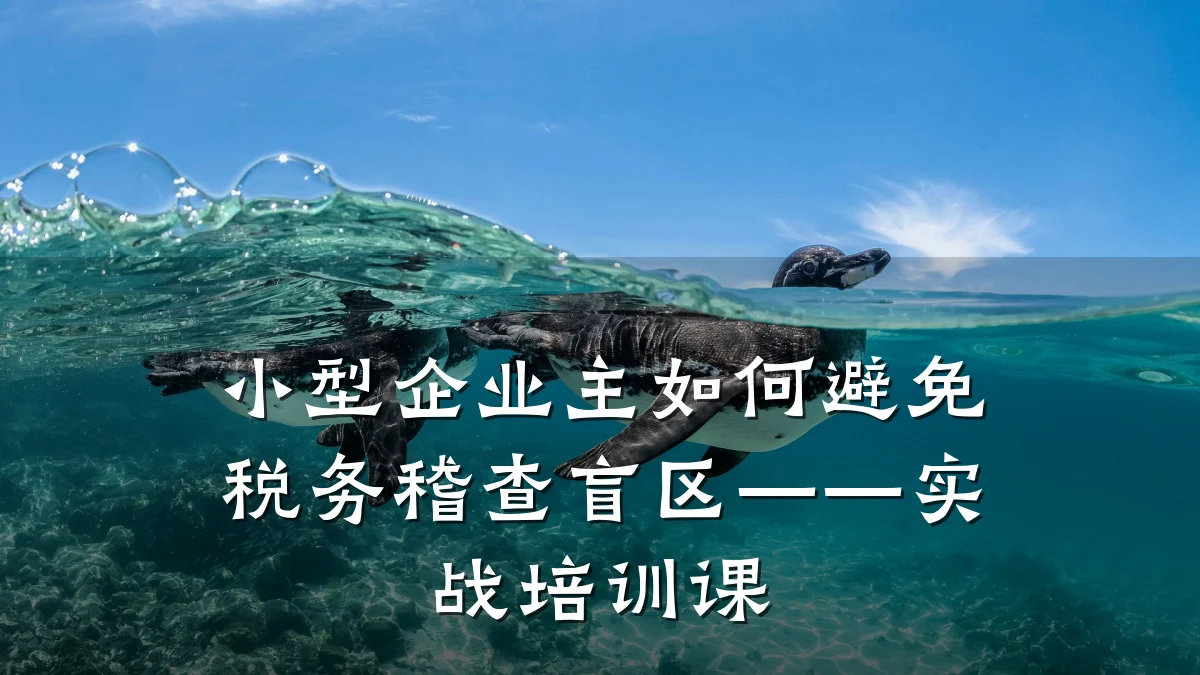 小型企业主如何避免税务稽查盲区——实战培训课