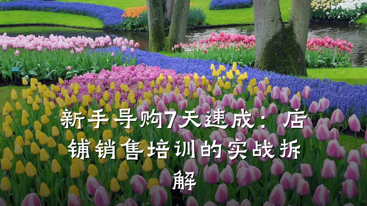 新手导购7天速成:店铺销售培训的实战拆解