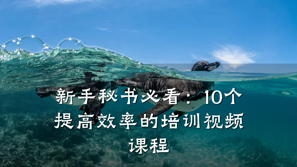 新手秘书必看:10个提高效率的培训视频课程