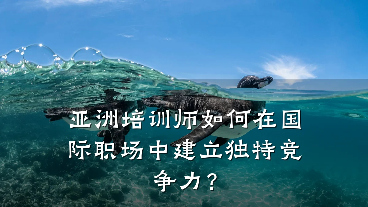亚洲培训师如何在国际职场中建立独特竞争力?