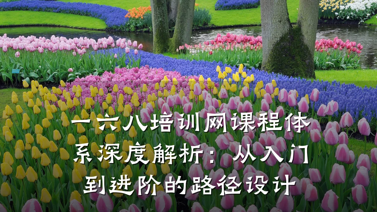 一六八培训网课程体系深度解析:从入门到进阶的路径设计