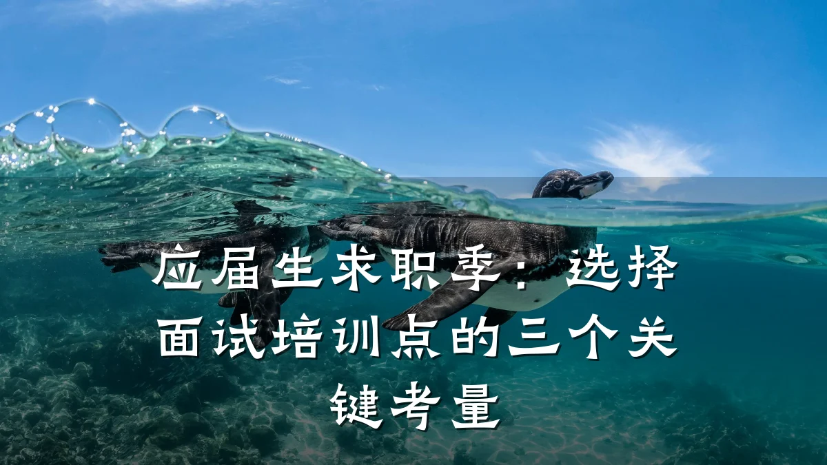 应届生求职季:选择面试培训点的三个关键考量