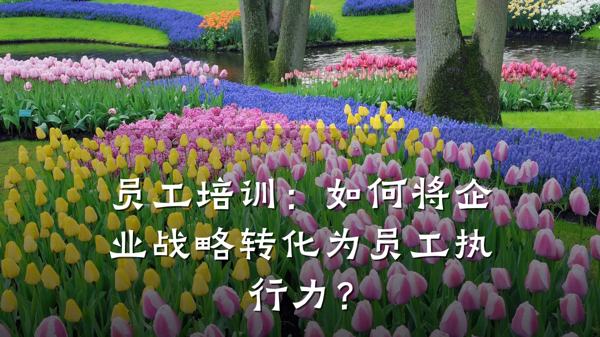 员工培训:如何将企业战略转化为员工执行力?