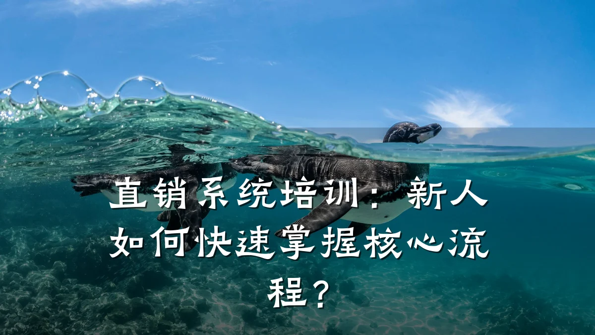 直销系统培训:新人如何快速掌握核心流程?