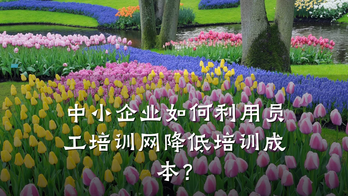 中小企业如何利用员工培训网降低培训成本?
