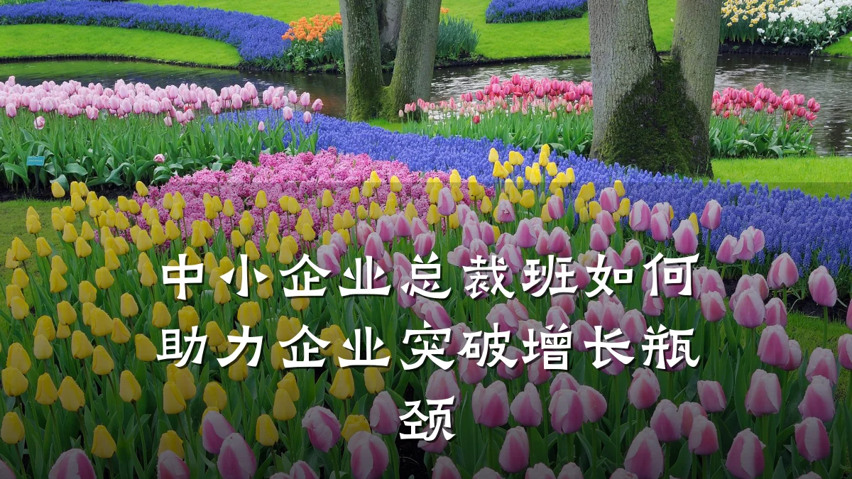 中小企业总裁班如何助力企业突破增长瓶颈