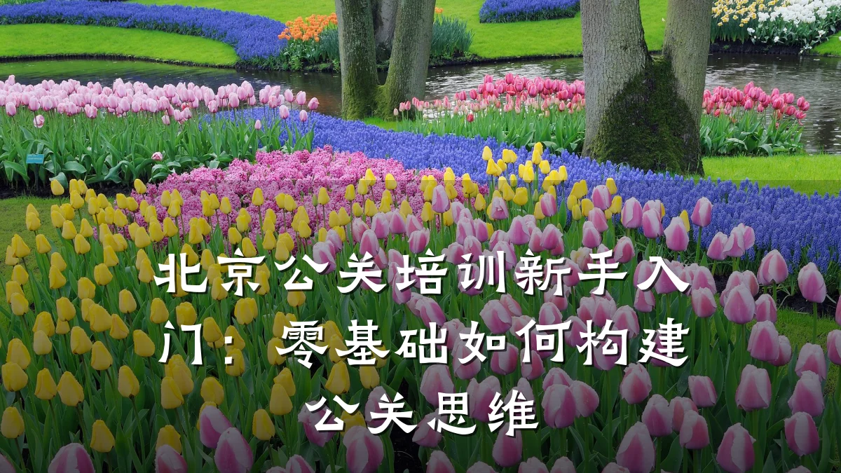 北京公关培训新手入门:零基础如何构建公关思维