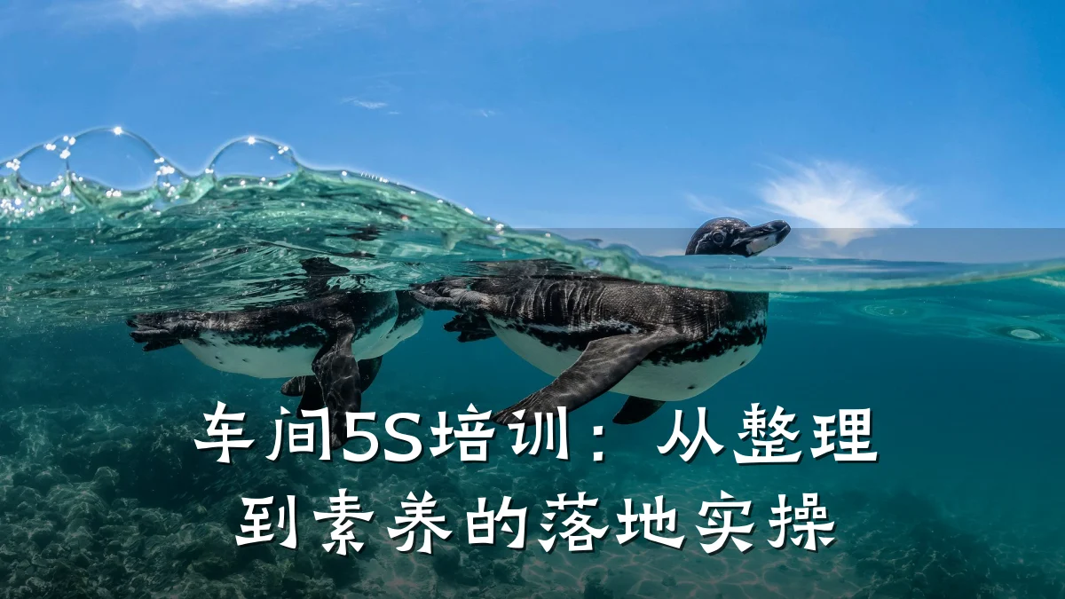 车间5S培训:从整理到素养的落地实操