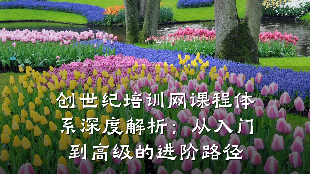 创世纪培训网课程体系深度解析:从入门到高级的进阶路径