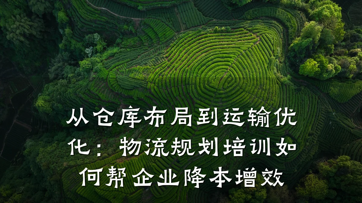 从仓库布局到运输优化:物流规划培训如何帮企业降本增效