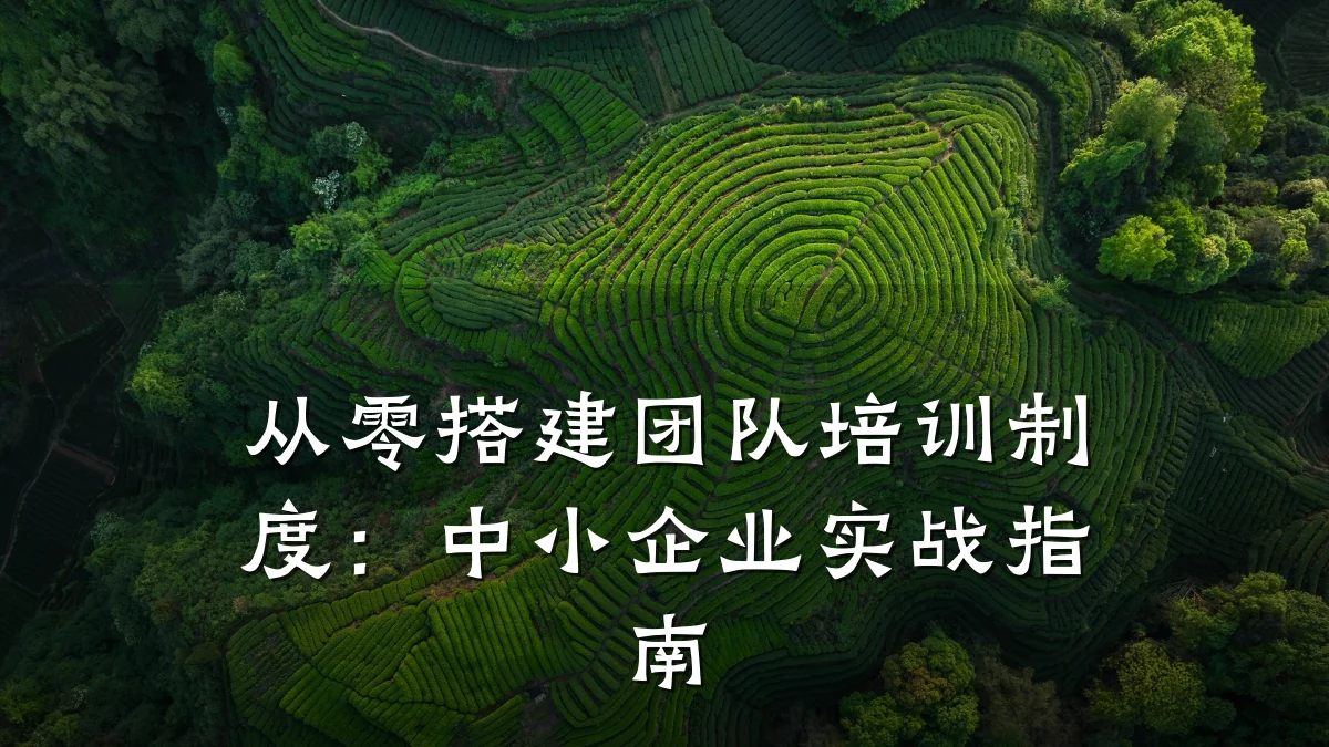 从零搭建团队培训制度:中小企业实战指南