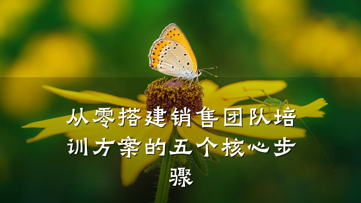 从零搭建销售团队培训方案的五个核心步骤