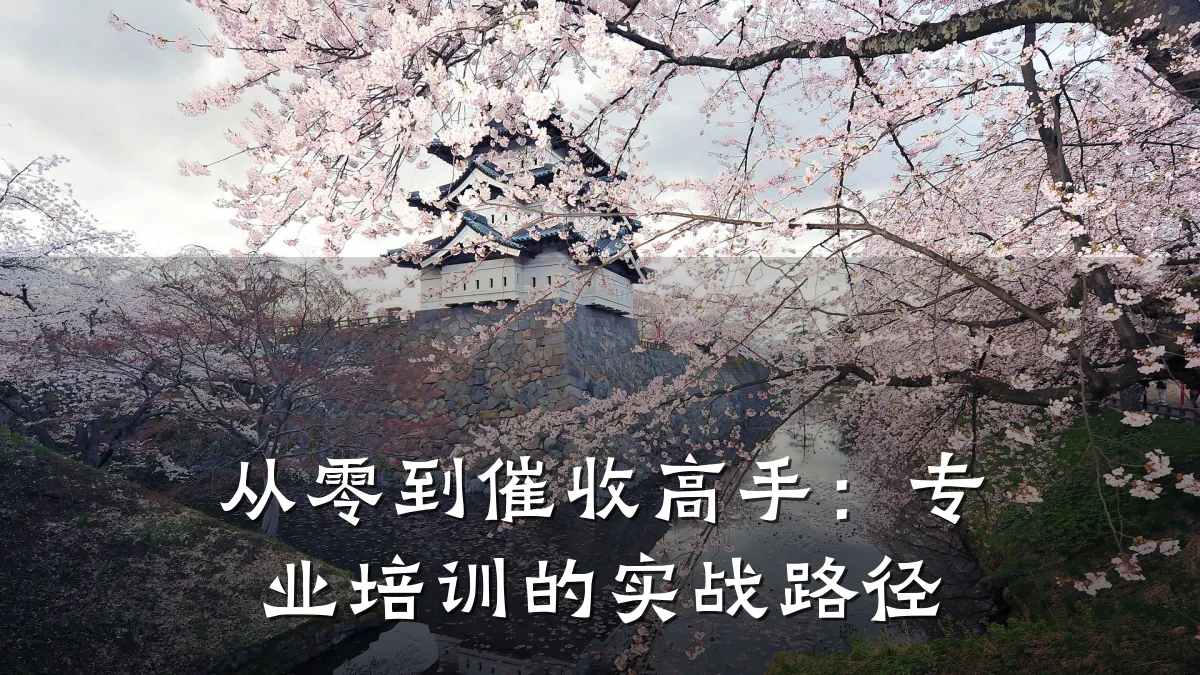 从零到催收高手:专业培训的实战路径