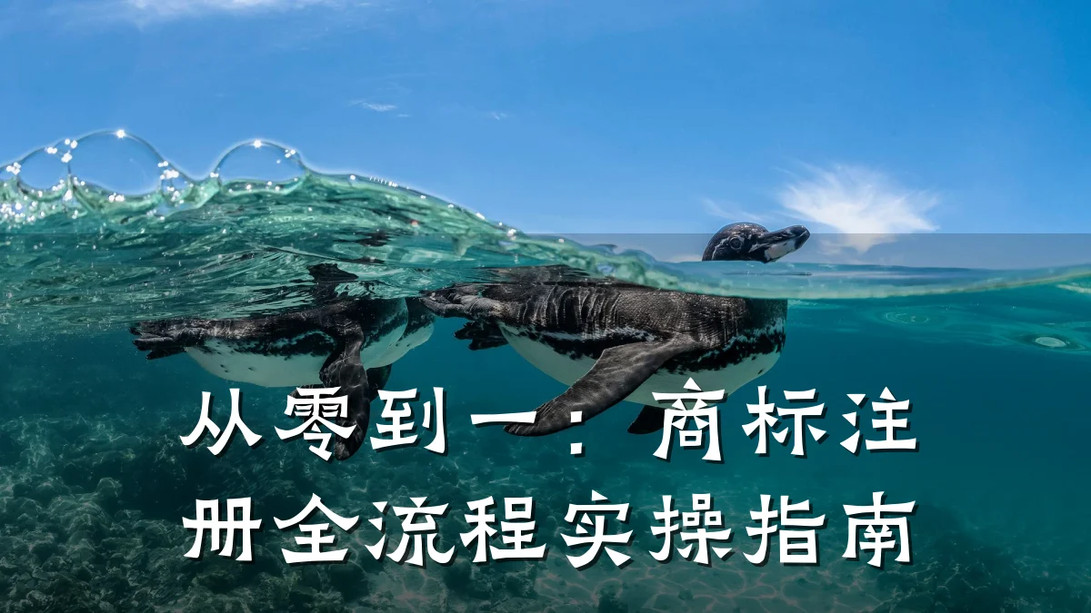 从零到一:商标注册全流程实操指南