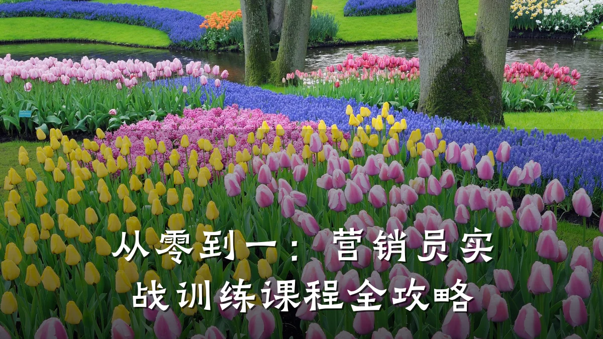 从零到一:营销员实战训练课程全攻略