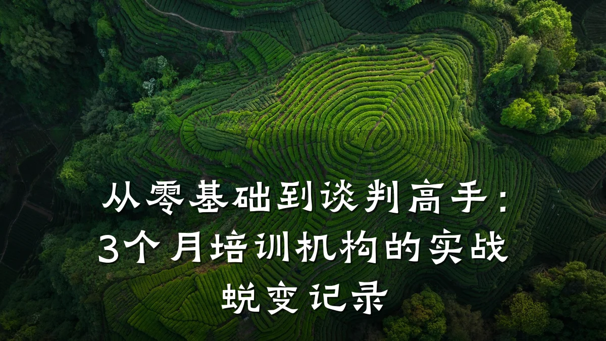 从零基础到谈判高手:3个月培训机构的实战蜕变记录