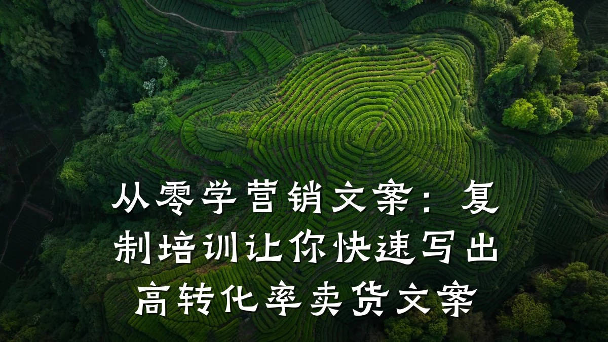 从零学营销文案:复制培训让你快速写出高转化率卖货文案