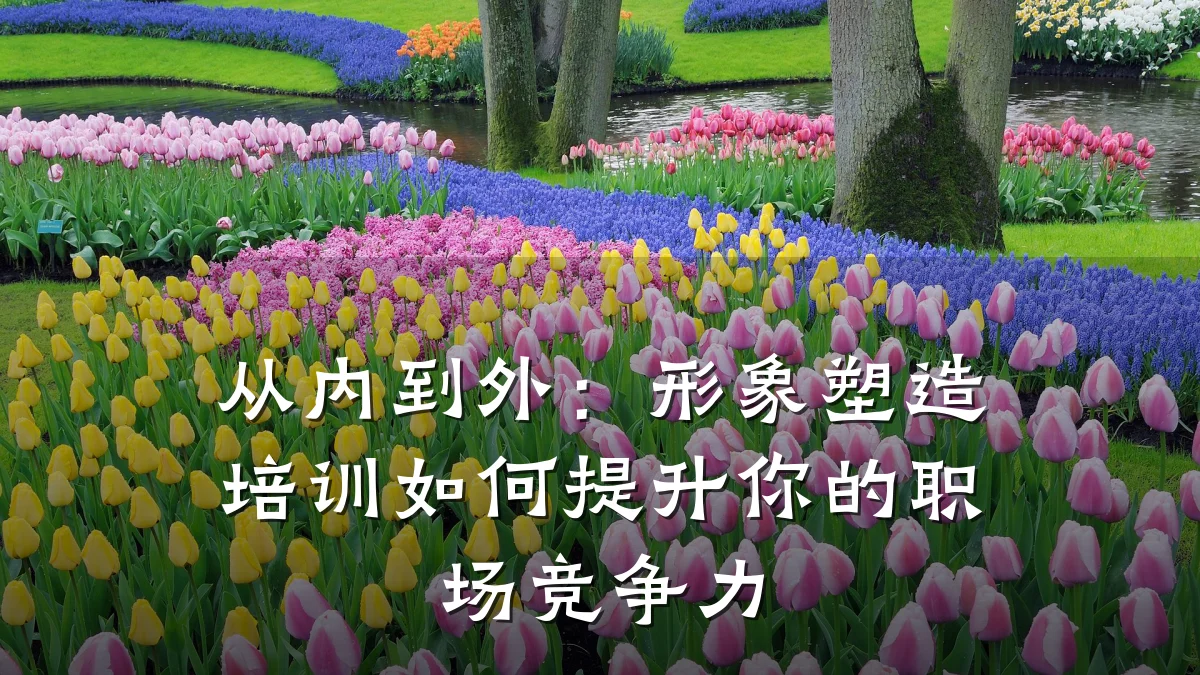 从内到外:形象塑造培训如何提升你的职场竞争力