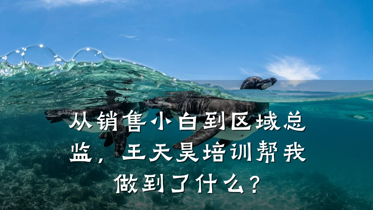 从销售小白到区域总监,王天昊培训帮我做到了什么?