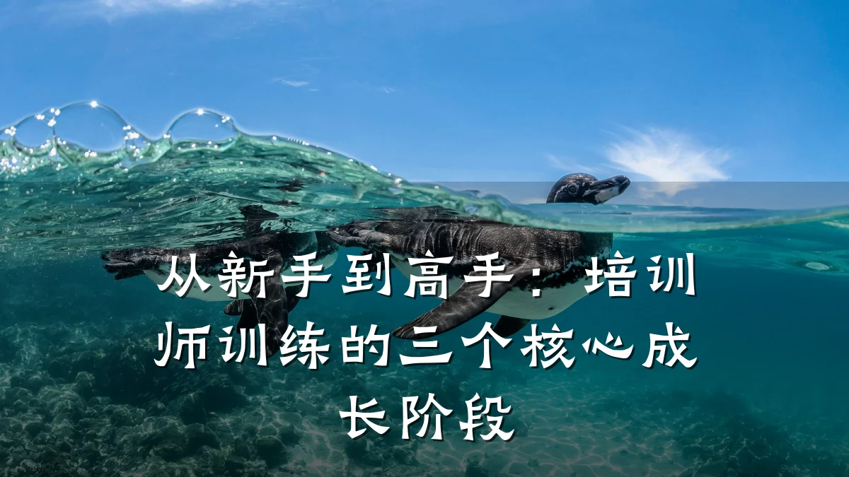 从新手到高手:培训师训练的三个核心成长阶段