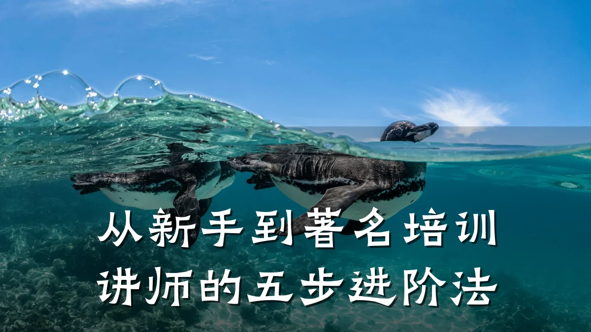 从新手到著名培训讲师的五步进阶法