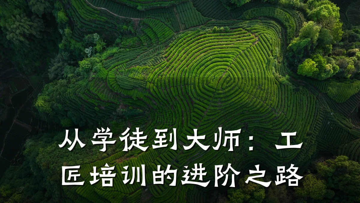 从学徒到大师:工匠培训的进阶之路