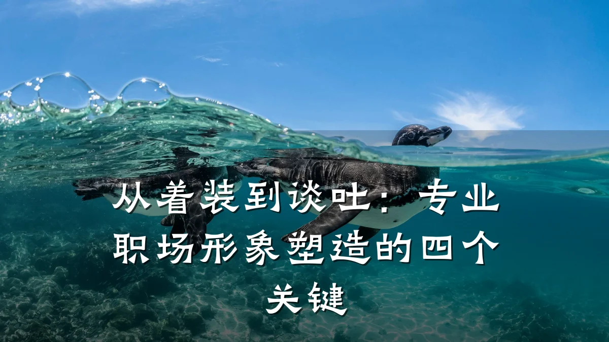 从着装到谈吐:专业职场形象塑造的四个关键
