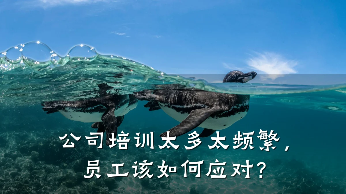 公司培训太多太频繁,员工该如何应对?