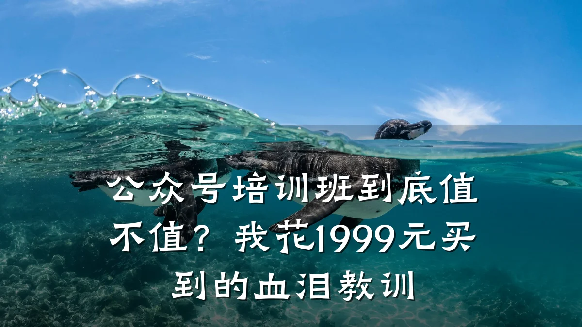 公众号培训班到底值不值?我花1999元买到的血泪教训