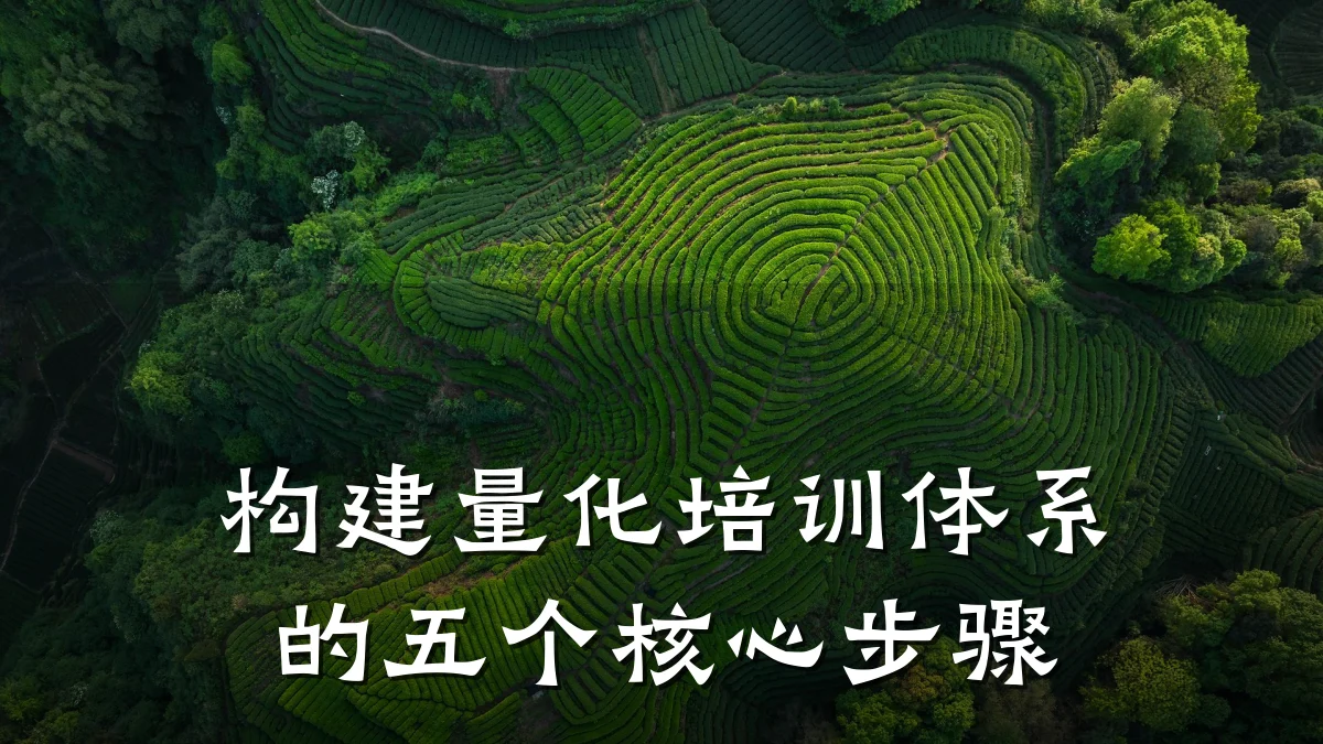 构建量化培训体系的五个核心步骤