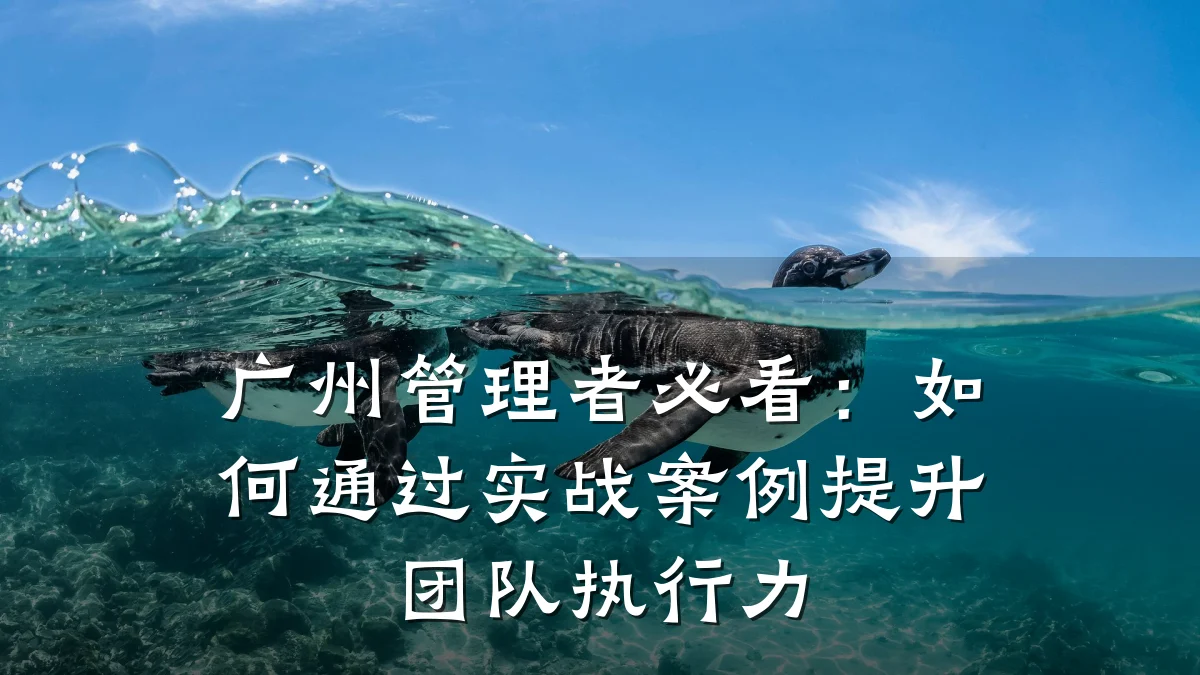 广州管理者必看:如何通过实战案例提升团队执行力