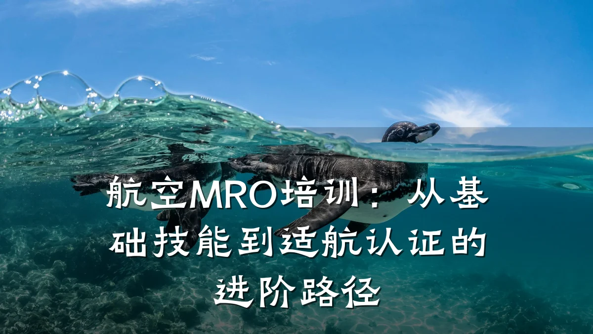 航空MRO培训:从基础技能到适航认证的进阶路径