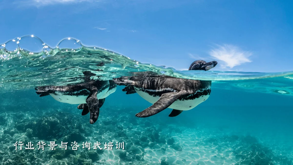 行业背景与咨询式培训