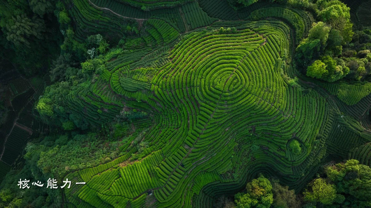 核心能力一