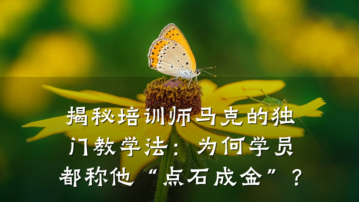 揭秘培训师马克的独门教学法:为何学员都称他“点石成金”?