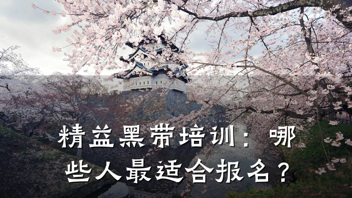 精益黑带培训:哪些人最适合报名?