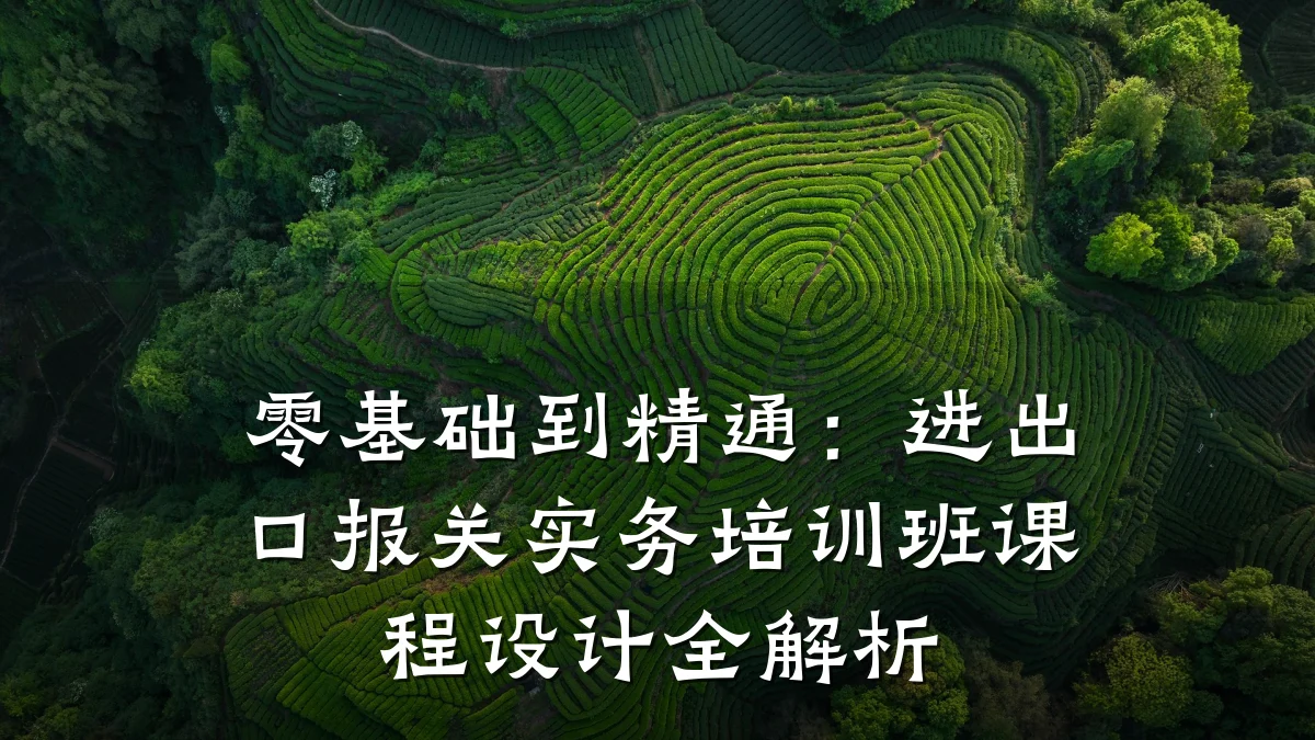 零基础到精通:进出口报关实务培训班课程设计全解析