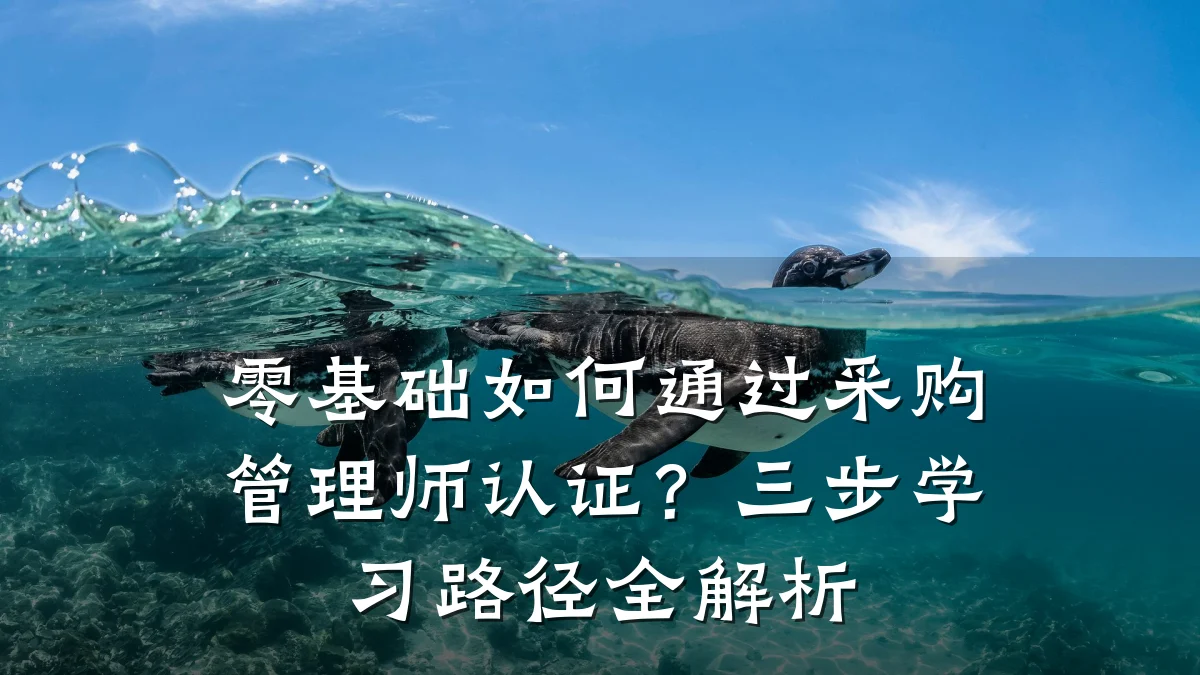 零基础如何通过采购管理师认证?三步学习路径全解析